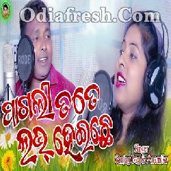 Paagli Tate Love Heichhe (Sanjog Bag,Anamika) New Sambalpuri Romantic Song